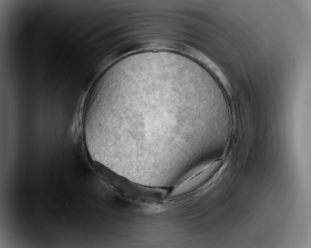 X0000087591097200705181214