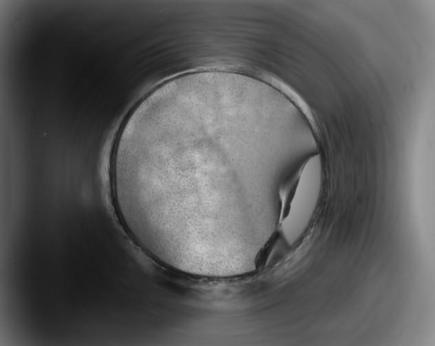 X0000087591099200705181214