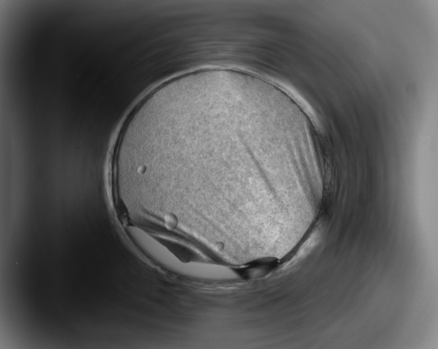 X0000087591100200705181214