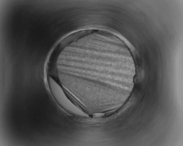 X0000087591102200705181214