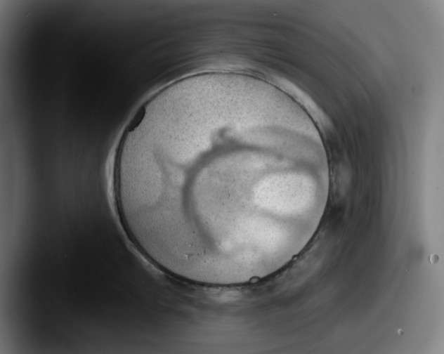 X0000087591103200705181214