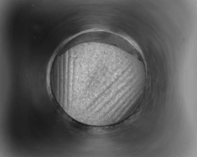 X0000087591104200705181214