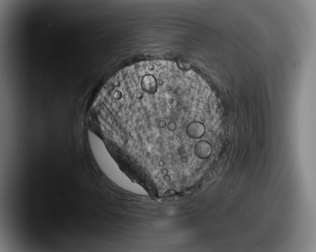 X0000087591106200705181214