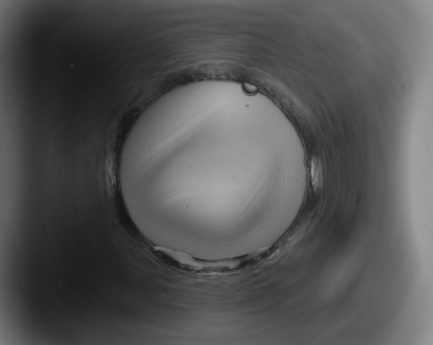 X0000087591107200705181214