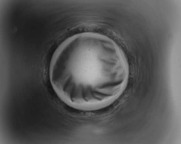 X0000087591109200705181214