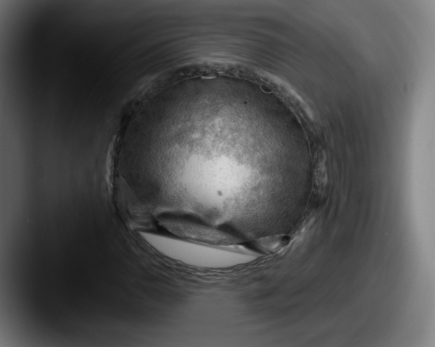 X0000087591110200705181214