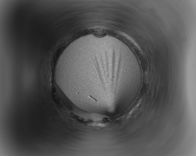 X0000087591111200705181214