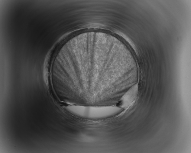 X0000087591115200705181214