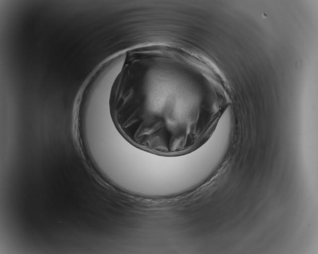 X0000087591116200705181214