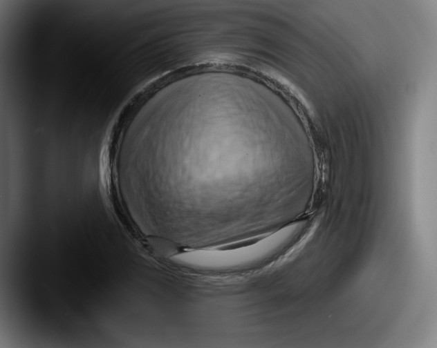 X0000087591117200705181214