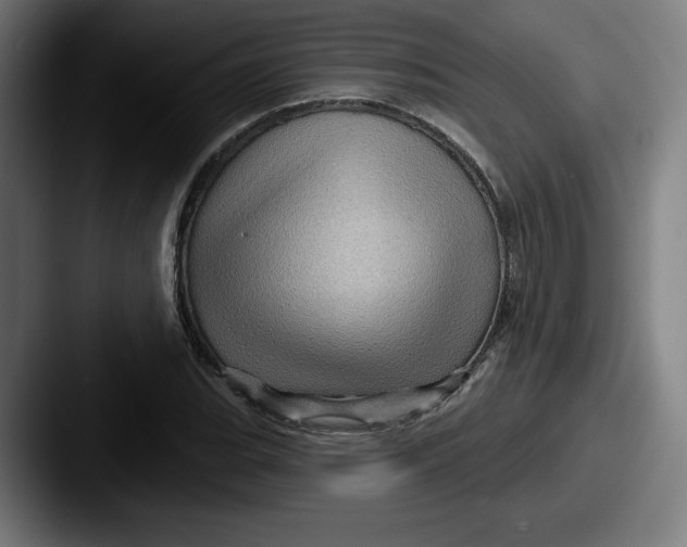 X0000087591119200705181214