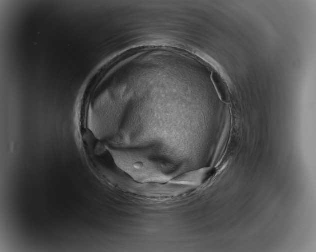 X0000087591120200705181214