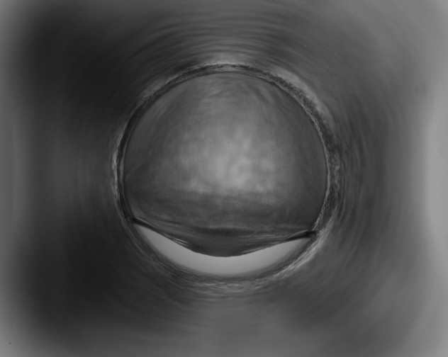 X0000087591121200705181214