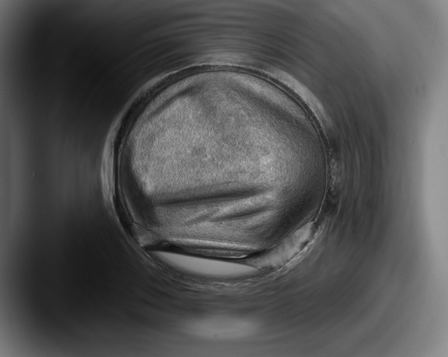 X0000087591123200705181214