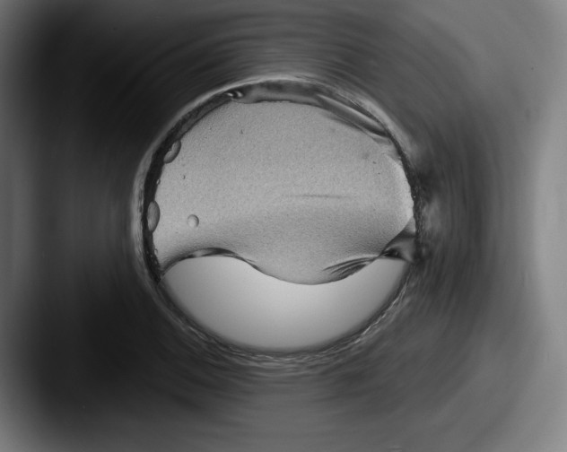 X0000087591124200705181214