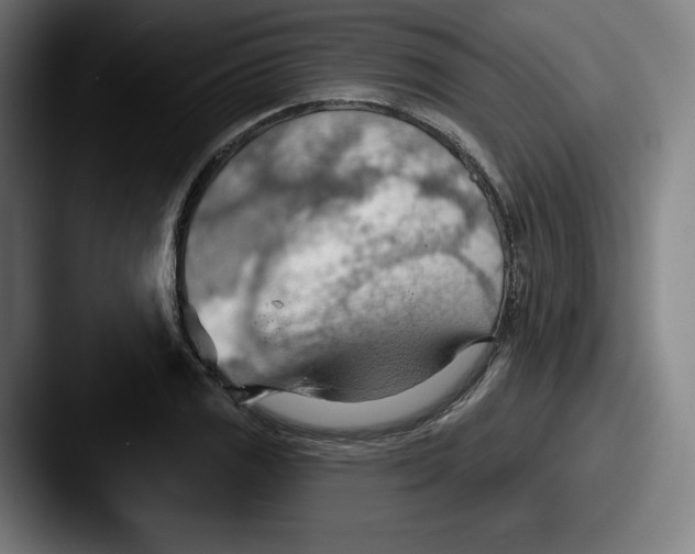 X0000087591125200705181214