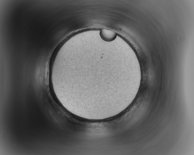 X0000087591126200705181214