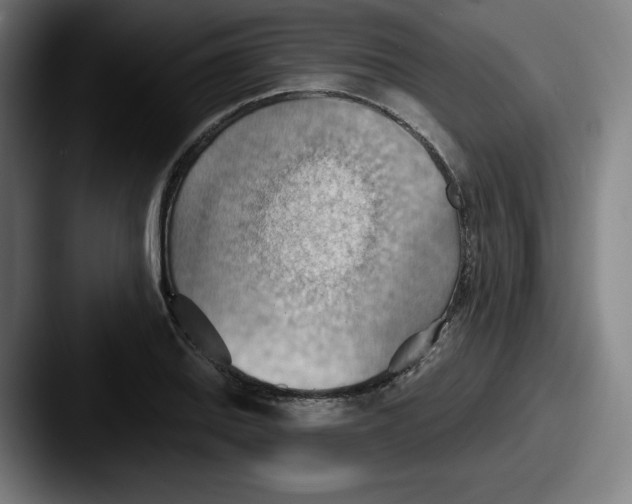 X0000087591127200705181214