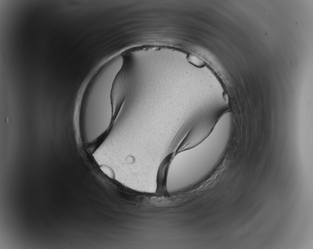 X0000087591128200705181214