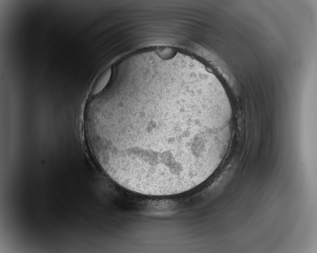 X0000087591129200705181214