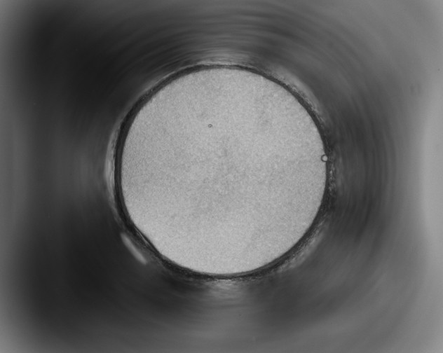 X0000087591130200705181214