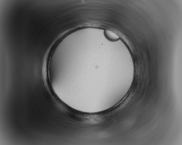 X0000087591131200705181214