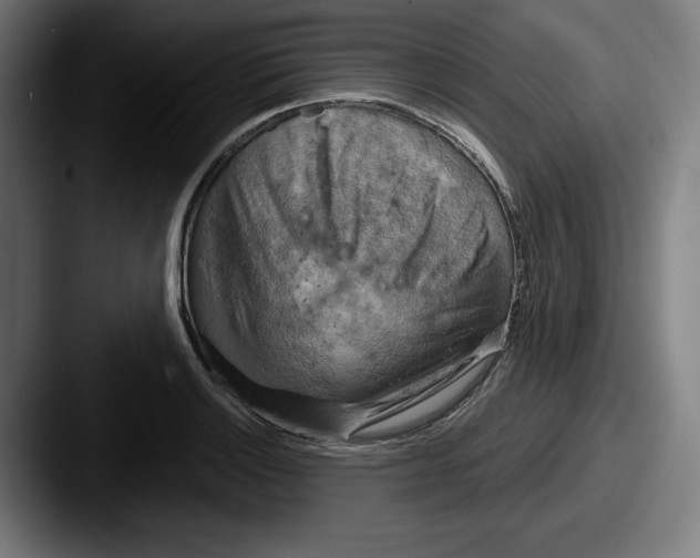 X0000087591132200705181214