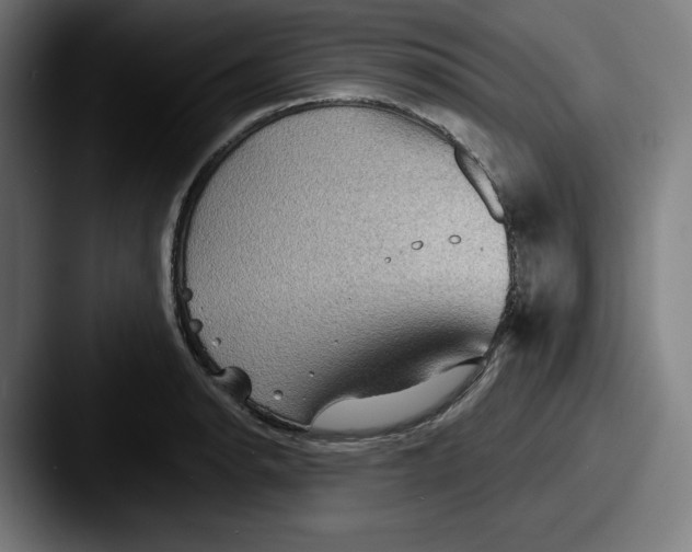 X0000087591134200705181214