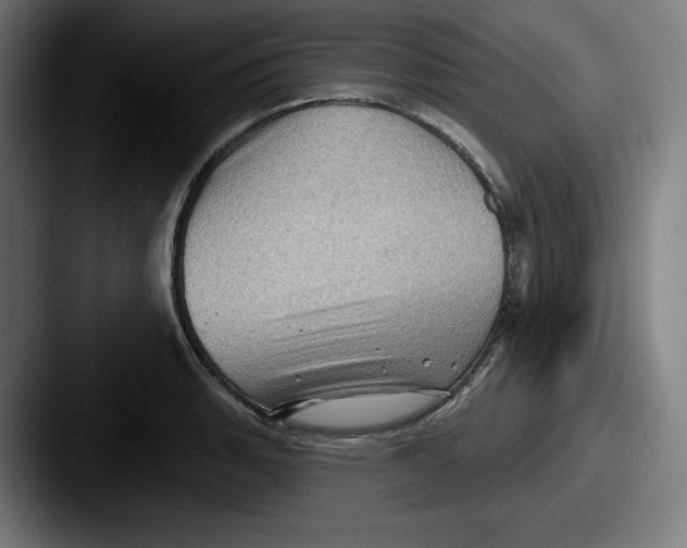 X0000087591135200705181214