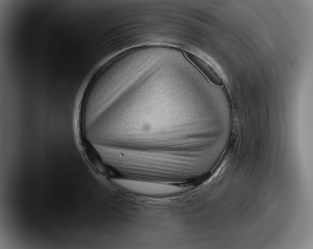 X0000087591136200705181214