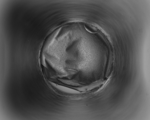 X0000087591137200705181214