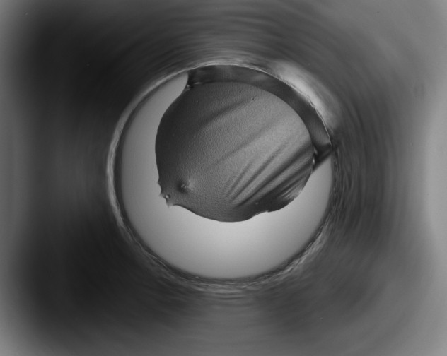 X0000087591138200705181214