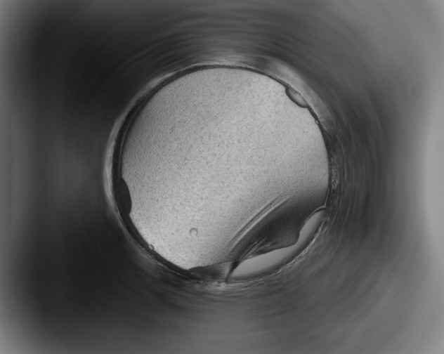 X0000087591139200705181214