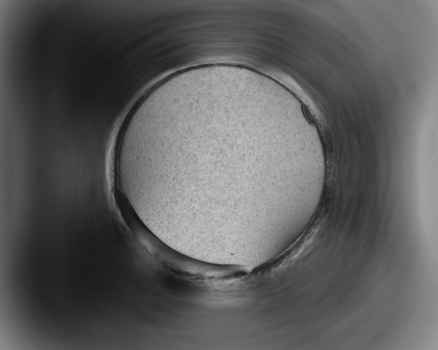 X0000087591140200705181214