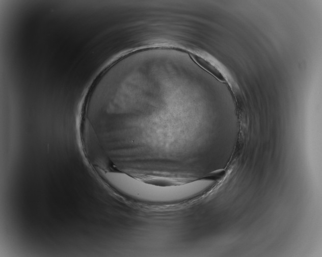 X0000087591142200705181214