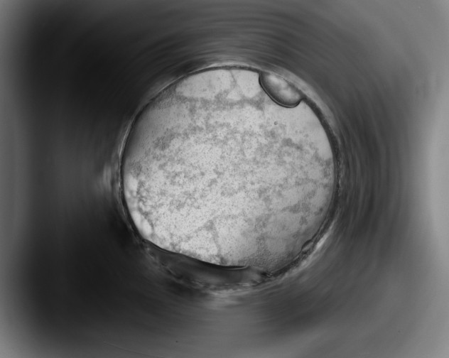 X0000087591145200705181214