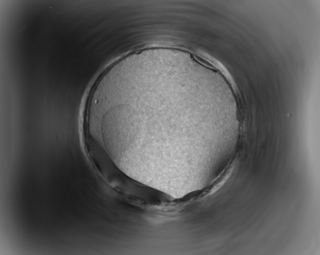 X0000087591146200705181214