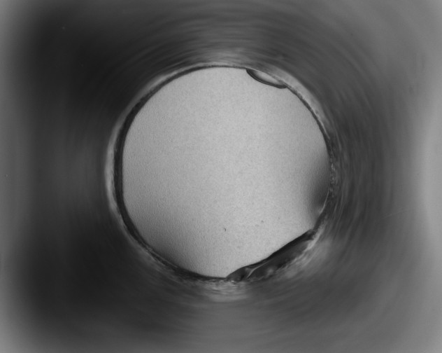 X0000087591147200705181214