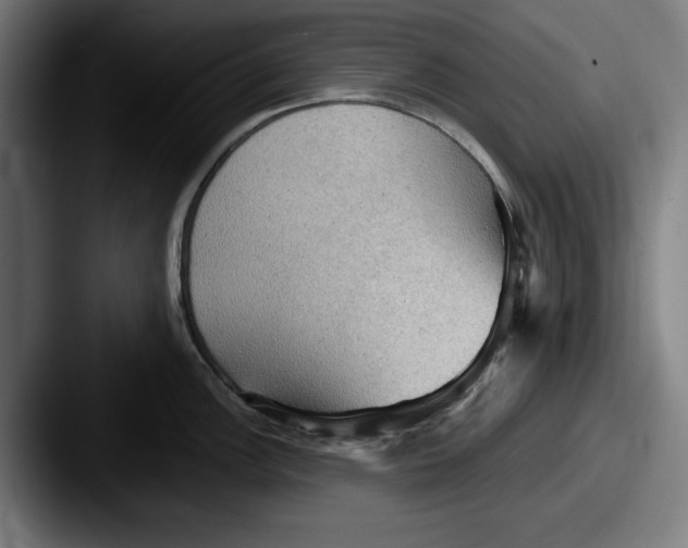 X0000087591148200705181214