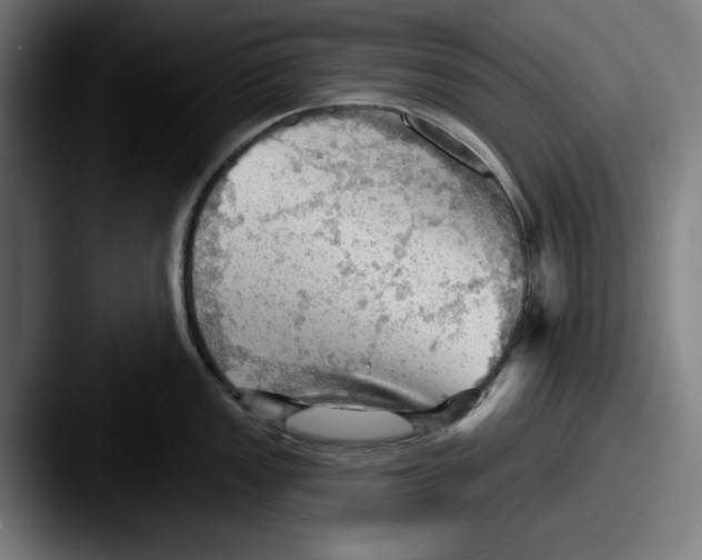 X0000087591149200705181214