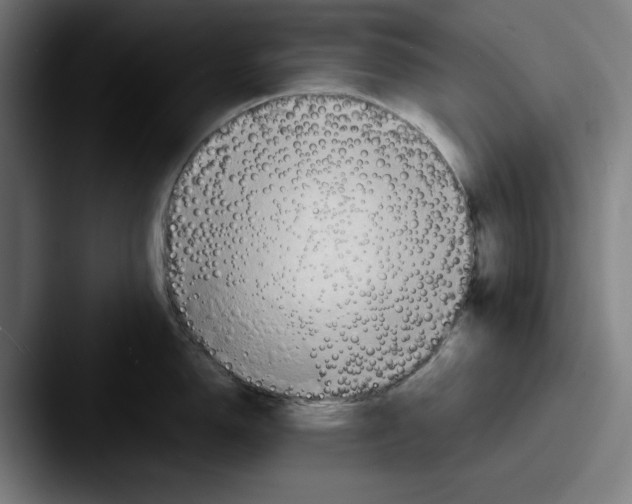 X0000087591150200705181214