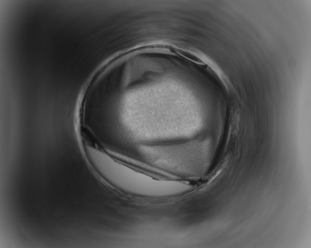 X0000087591151200705181214