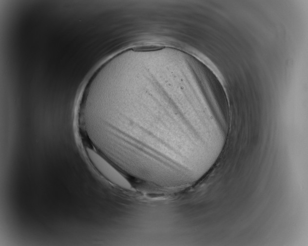 X0000087591152200705181214