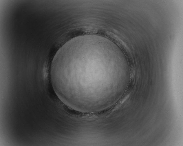 X0000087591154200705181214