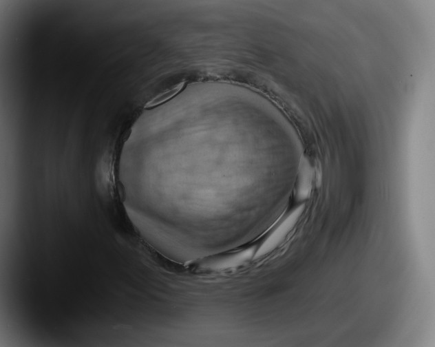 X0000087591155200705181214