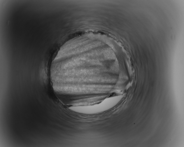 X0000087591156200705181214