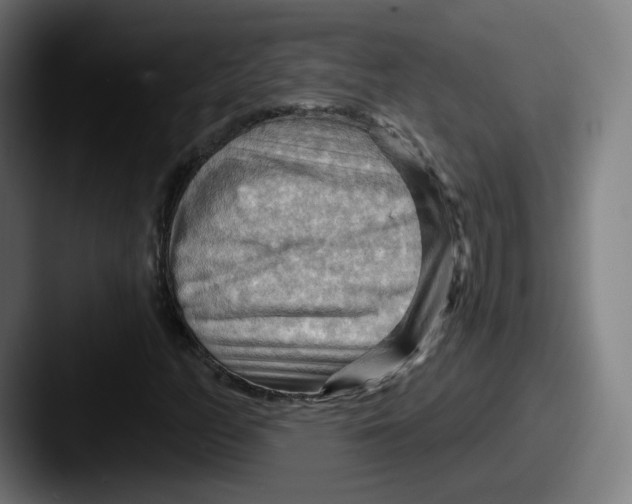 X0000087591158200705181214