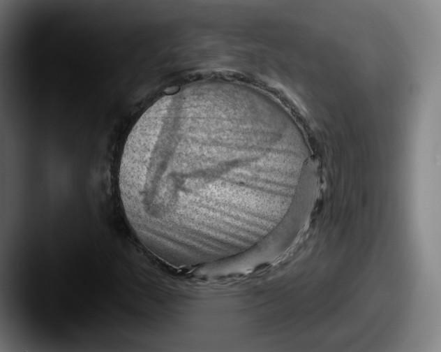 X0000087591159200705181214