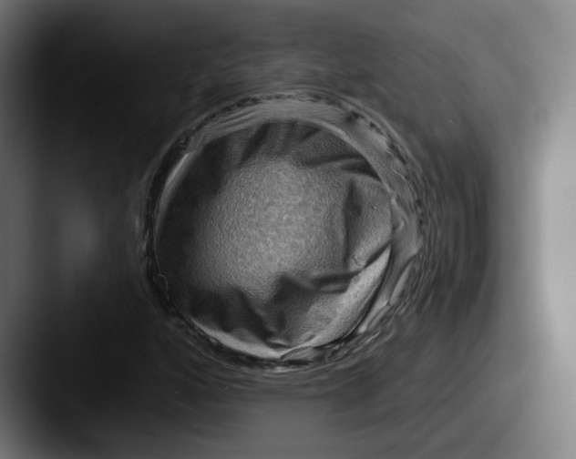 X0000087591160200705181214