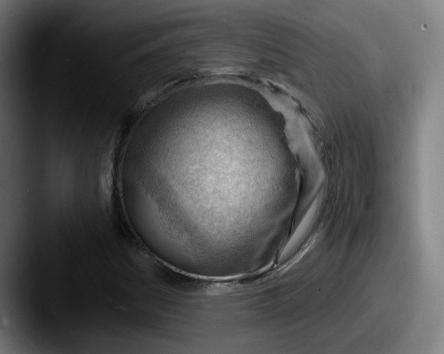 X0000087591161200705181214